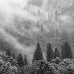 Yosemite Valley BW 1