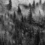 Yosemite Valley BW 5