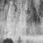 Yosemite Valley BW 8