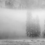 Yosemite Valley BW 9