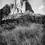 Zion National Park_1