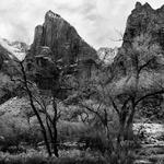 Zion National Park_2