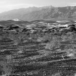Death Valley NAtional Park_1