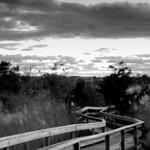 Fire Island National Seashore_1