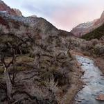 Zion NP_5