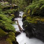 Glacier NP_4