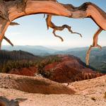 Cedar Breaks National Monument_2