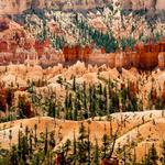 Bryce Canyon NP_3