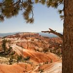 Bryce Canyon NP_2