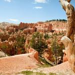 Bryce Canyon NP_5