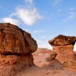 Red Toad Stools_9