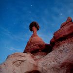 Red Toad Stools_1