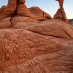 Red Toad Stools_8