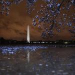 Washington Monument_1